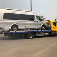 Портфолио daisy cooke